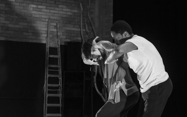 25_11_24_ensaio_ines_28