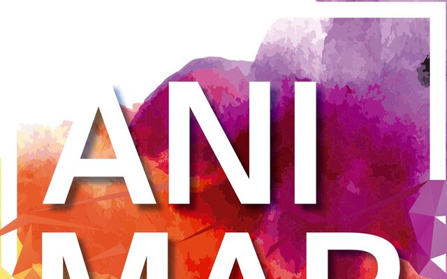 animarmatosinhos2025_site