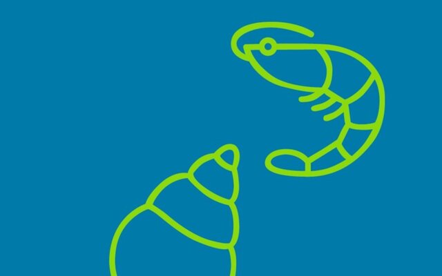 cryseia_animarangeiras2025_siter