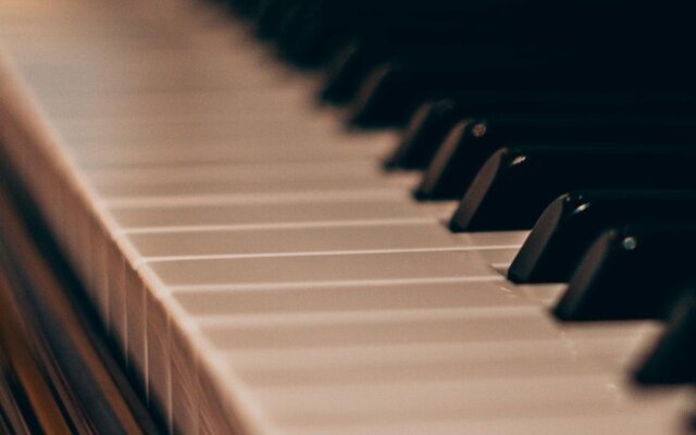 copia_site_pedro_burmester