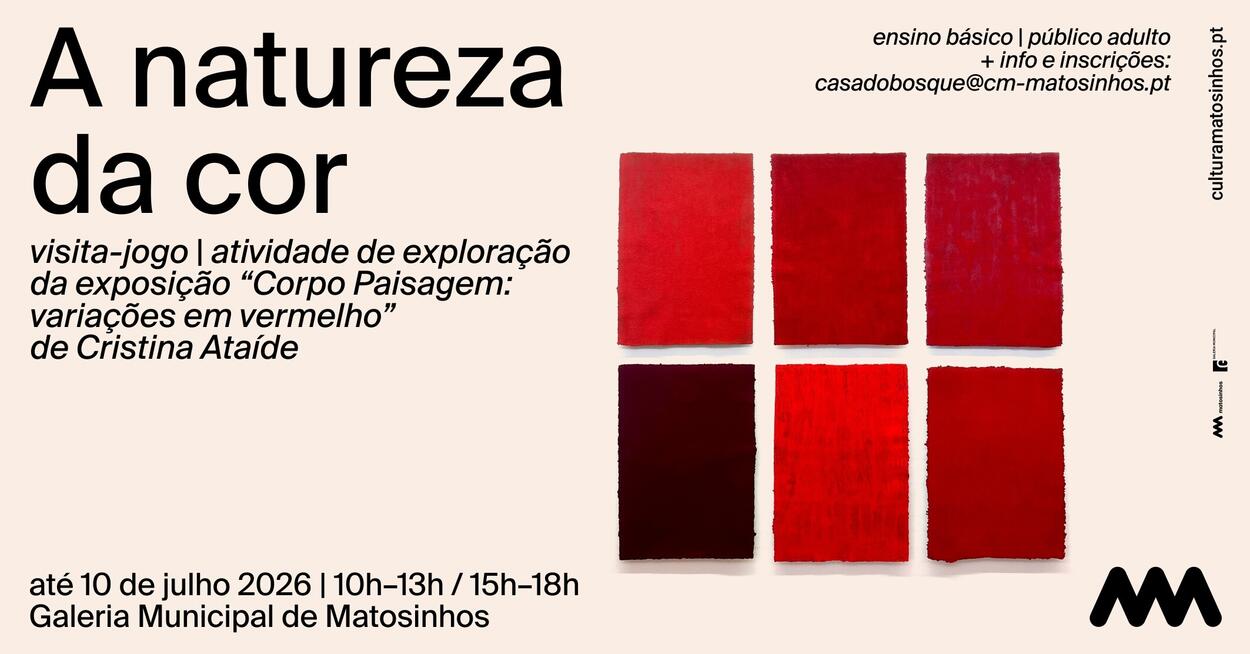 NATUREZA DA COR